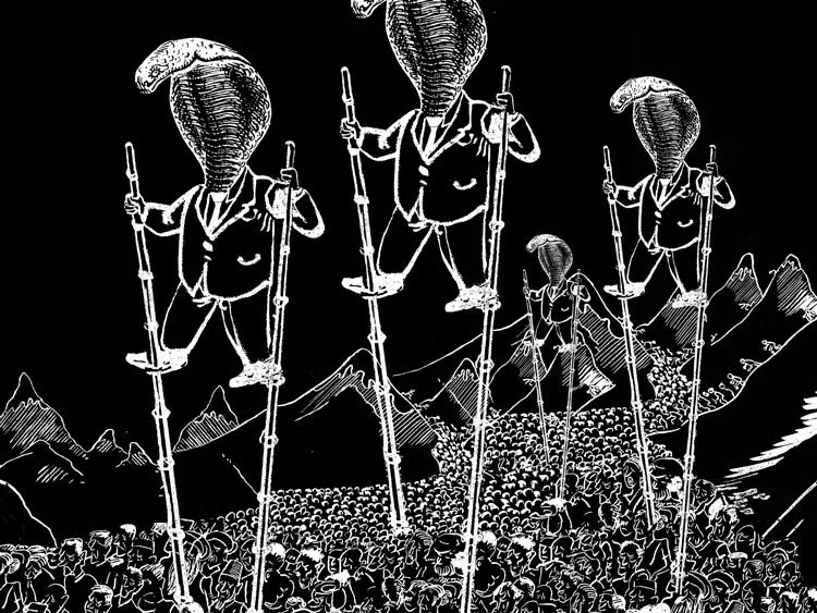 Snakes—50q.jpg