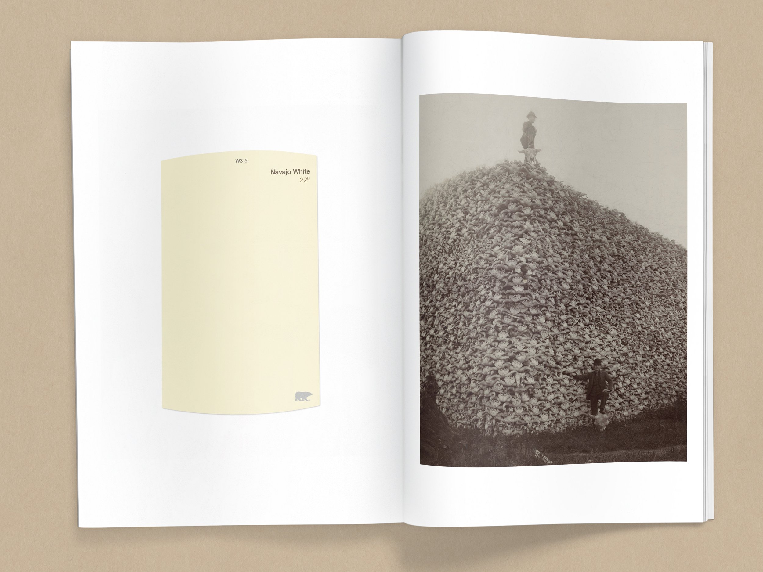  I Don't See Colored,  2022, Book; Digital Press, Perfect Bound, 8 x 5.5 inches / 60 pages