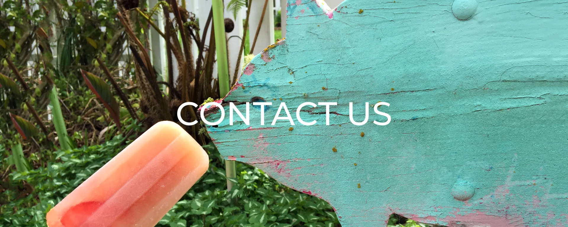 contact-banner.jpg