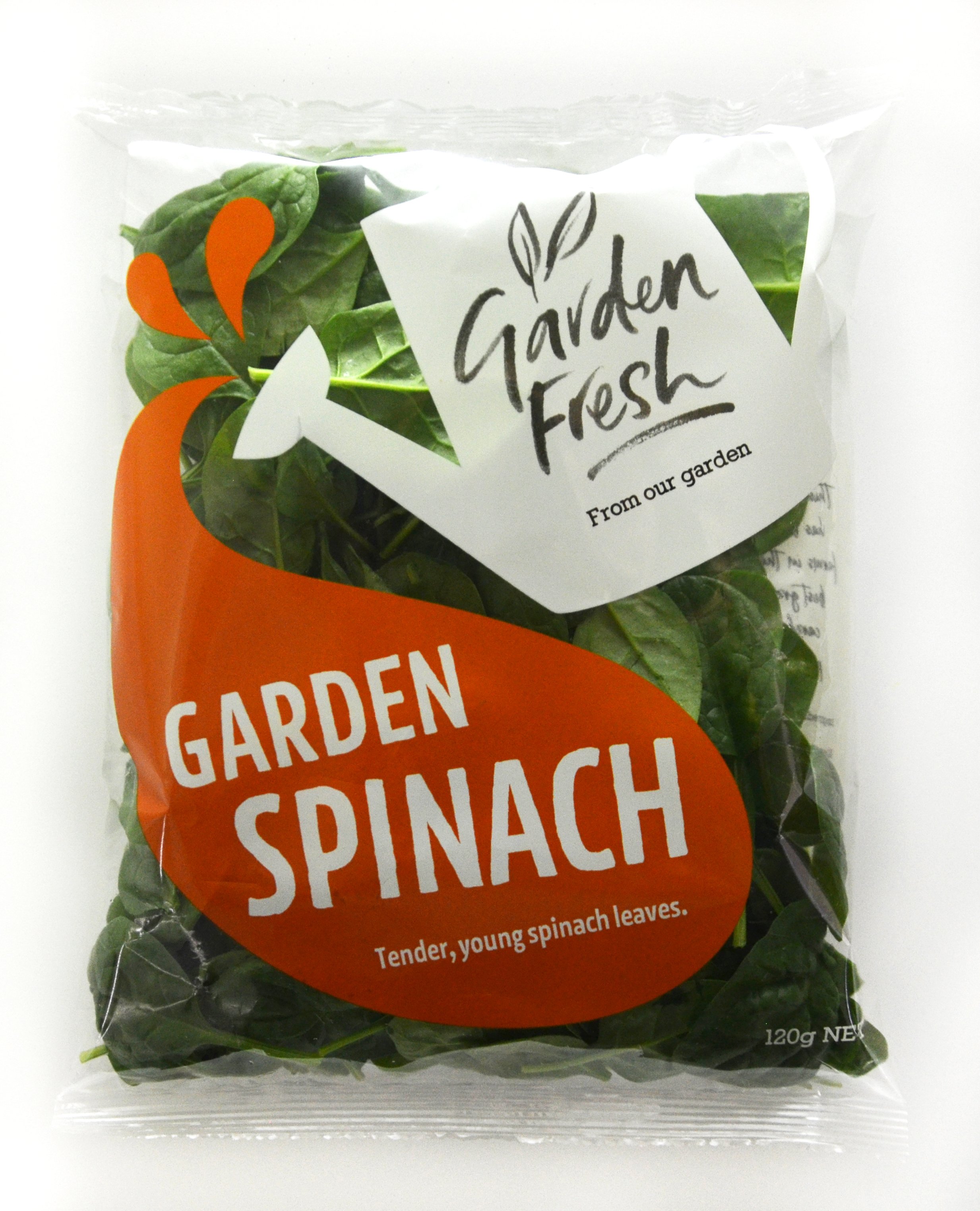 Garden Spinach