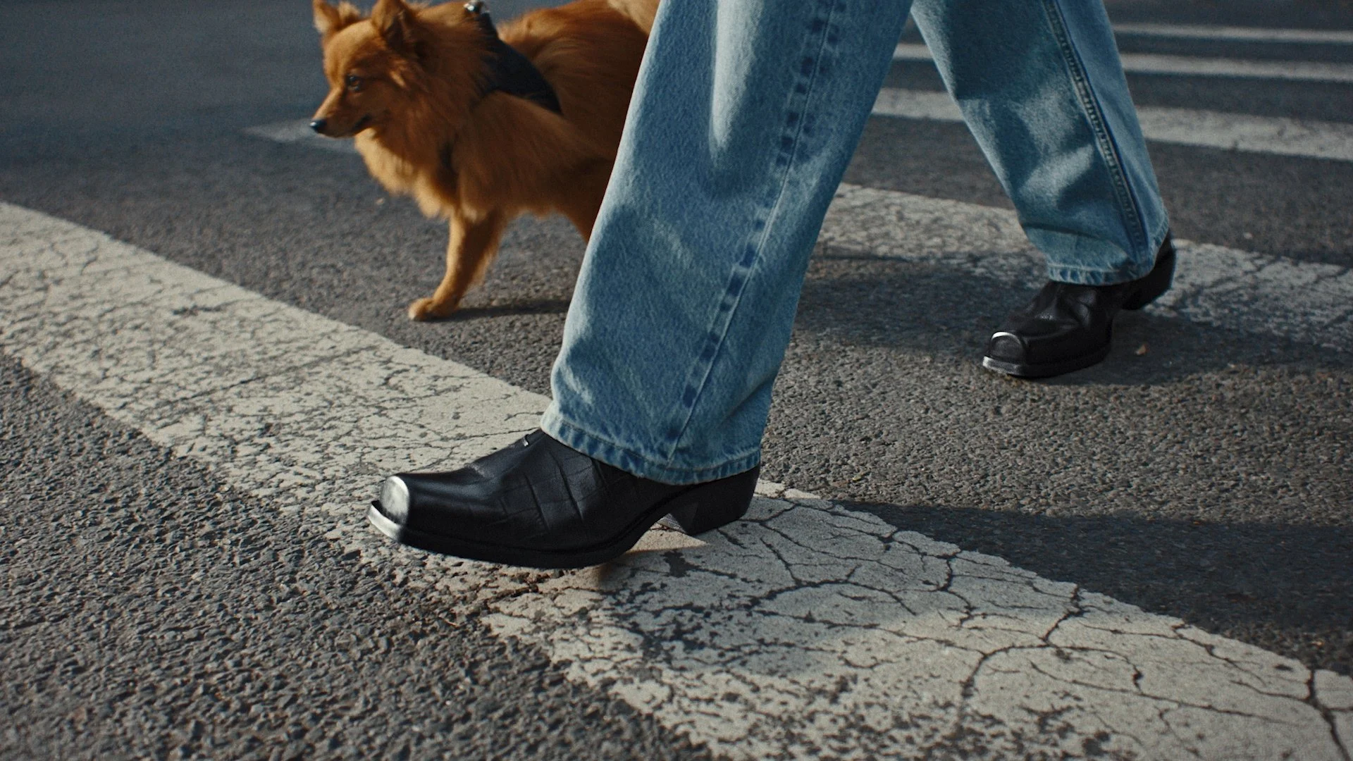 Still 2026-03-16 203006_1.11.1.jpg