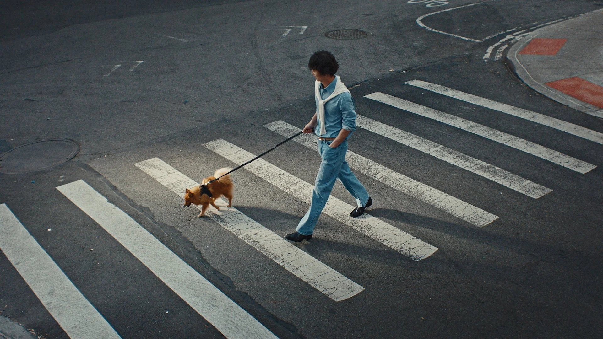 ALDO SS26 'Timeless'