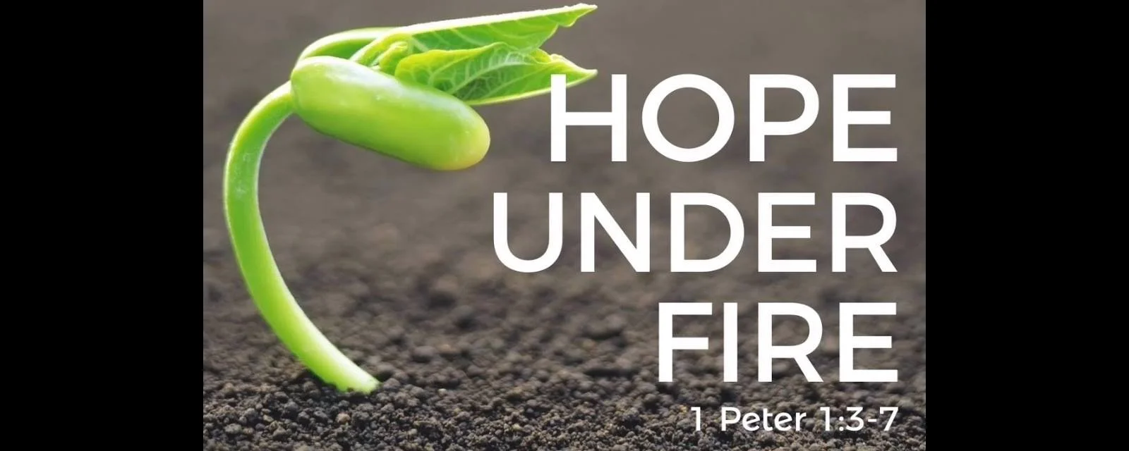 Hope Under Fire