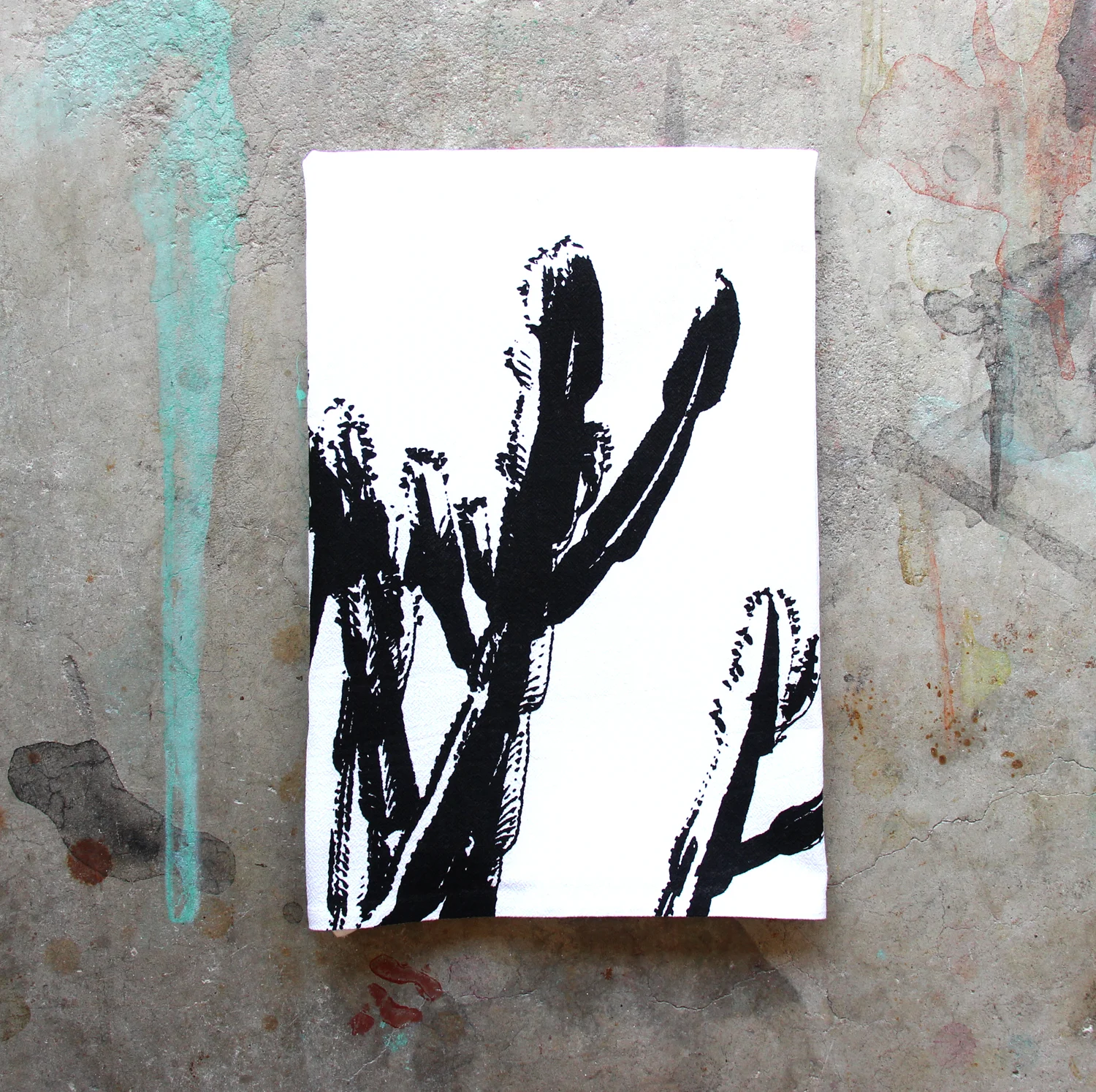 bw cactus.jpg