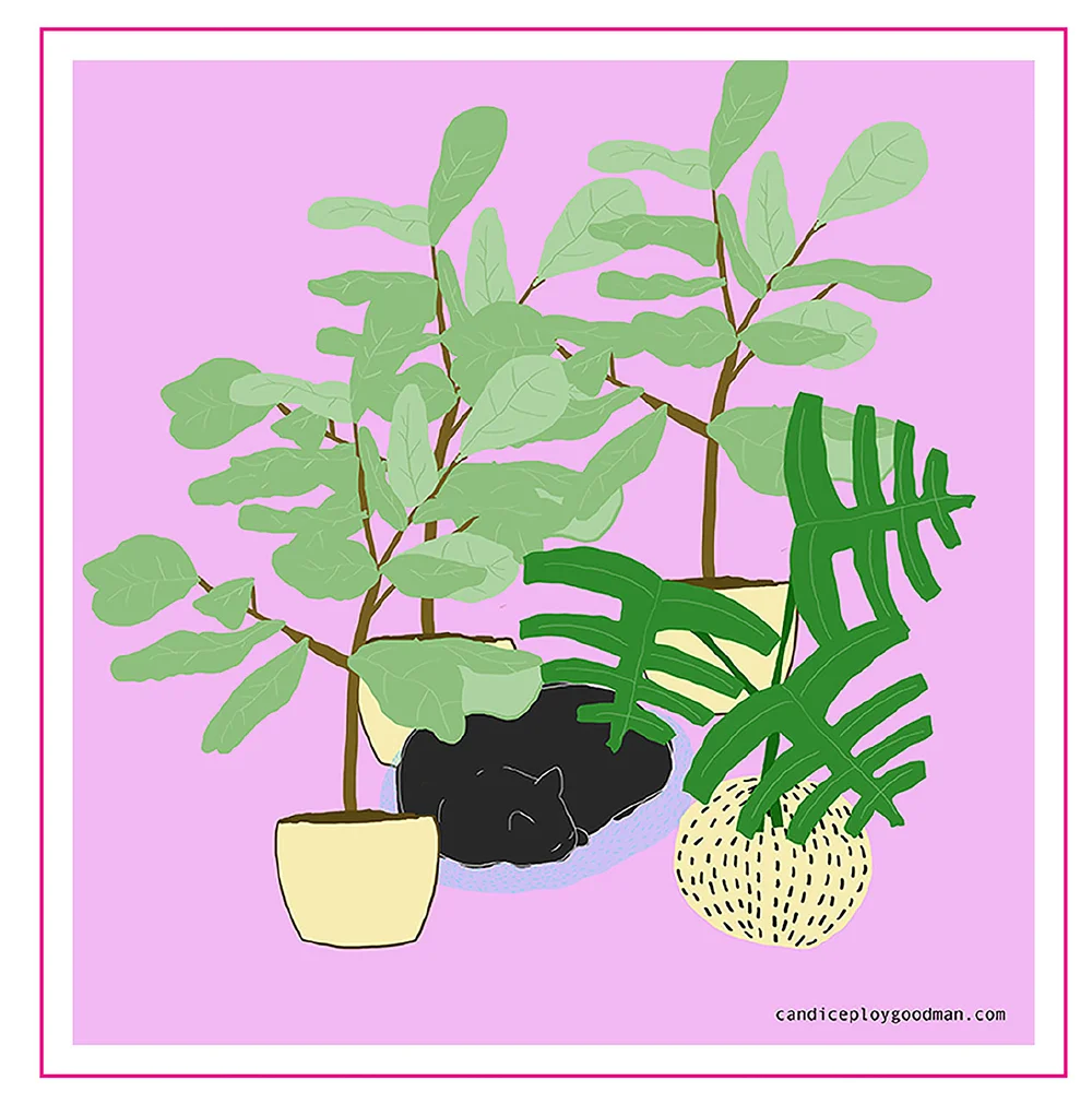 photo of lily of the valley flower Convallaria Majalis (Lily of the Valley) | Order Now main image 0