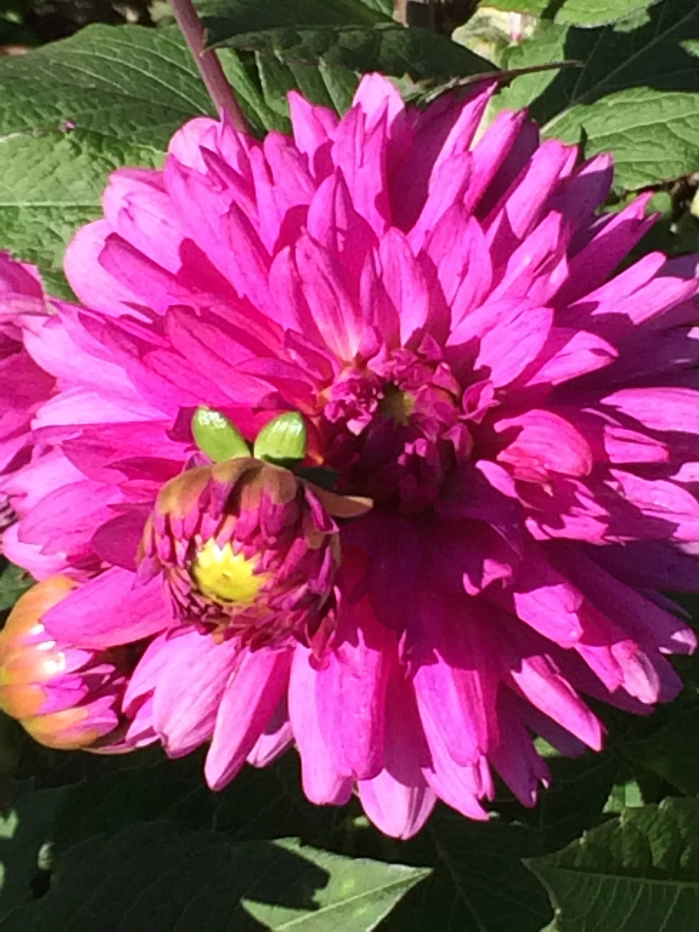 Exit the Stage &amp; Enter Your Life: Acting Class for Living