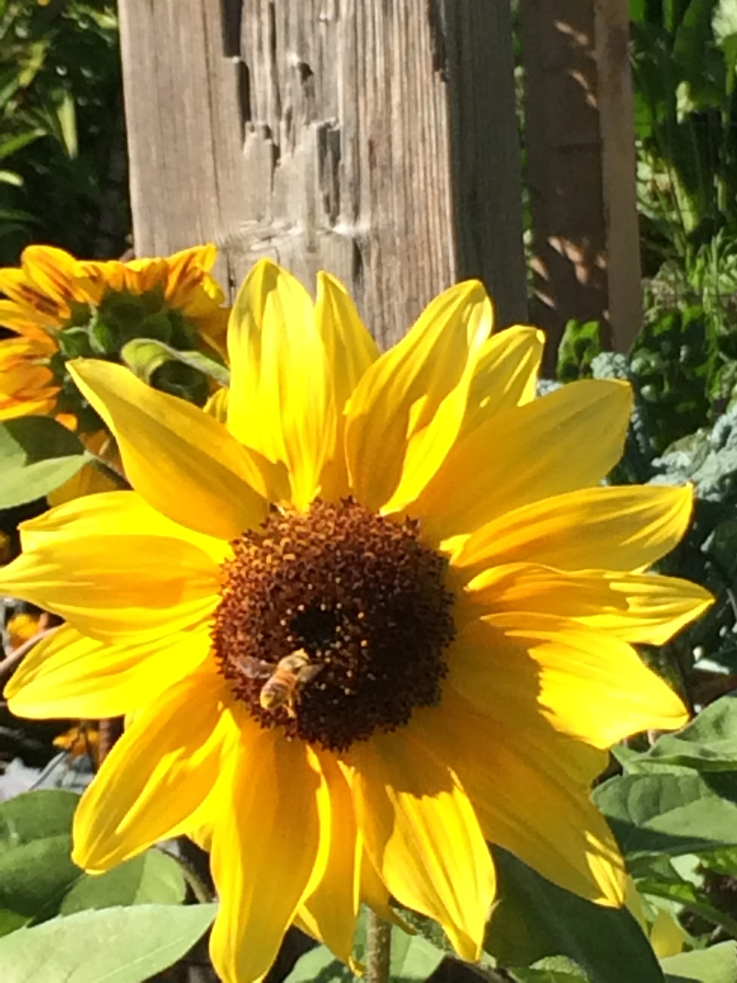 Exit the Stage & Enter Your Life: Acting Class for Living