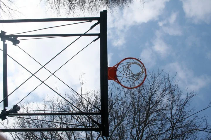 230411_214716981886807_109223665769473_770344_7887818_n.jpg