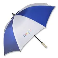 google-umbrella.jpg