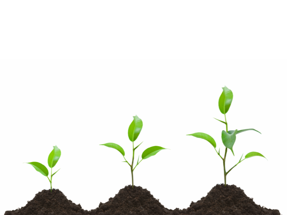 Cultivating Change Slide Deck Example copy 3.png