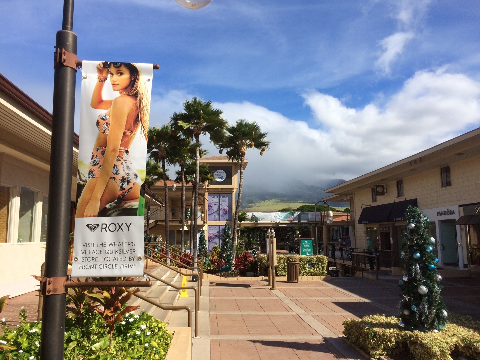 Mall Banners