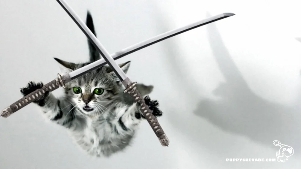 Attack form!
