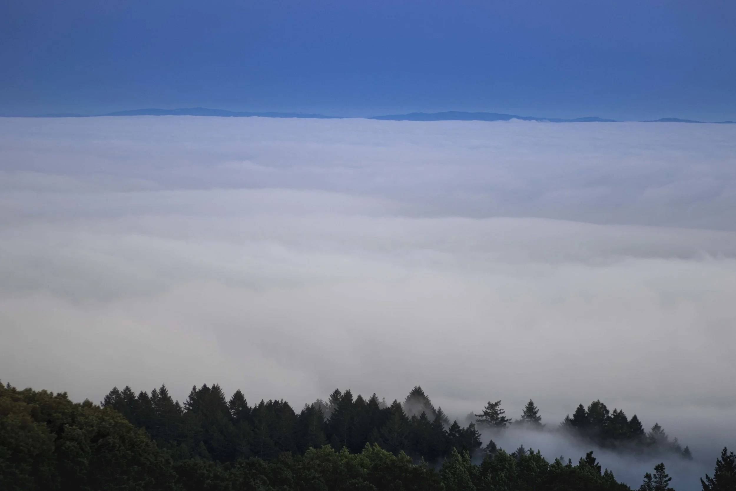 above the clouds.jpg