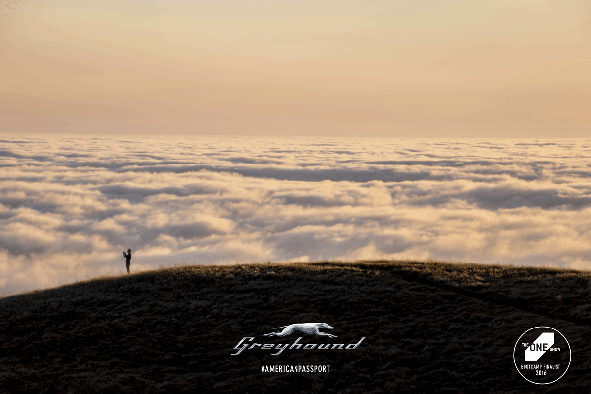 Greyhound thumbnail.gif
