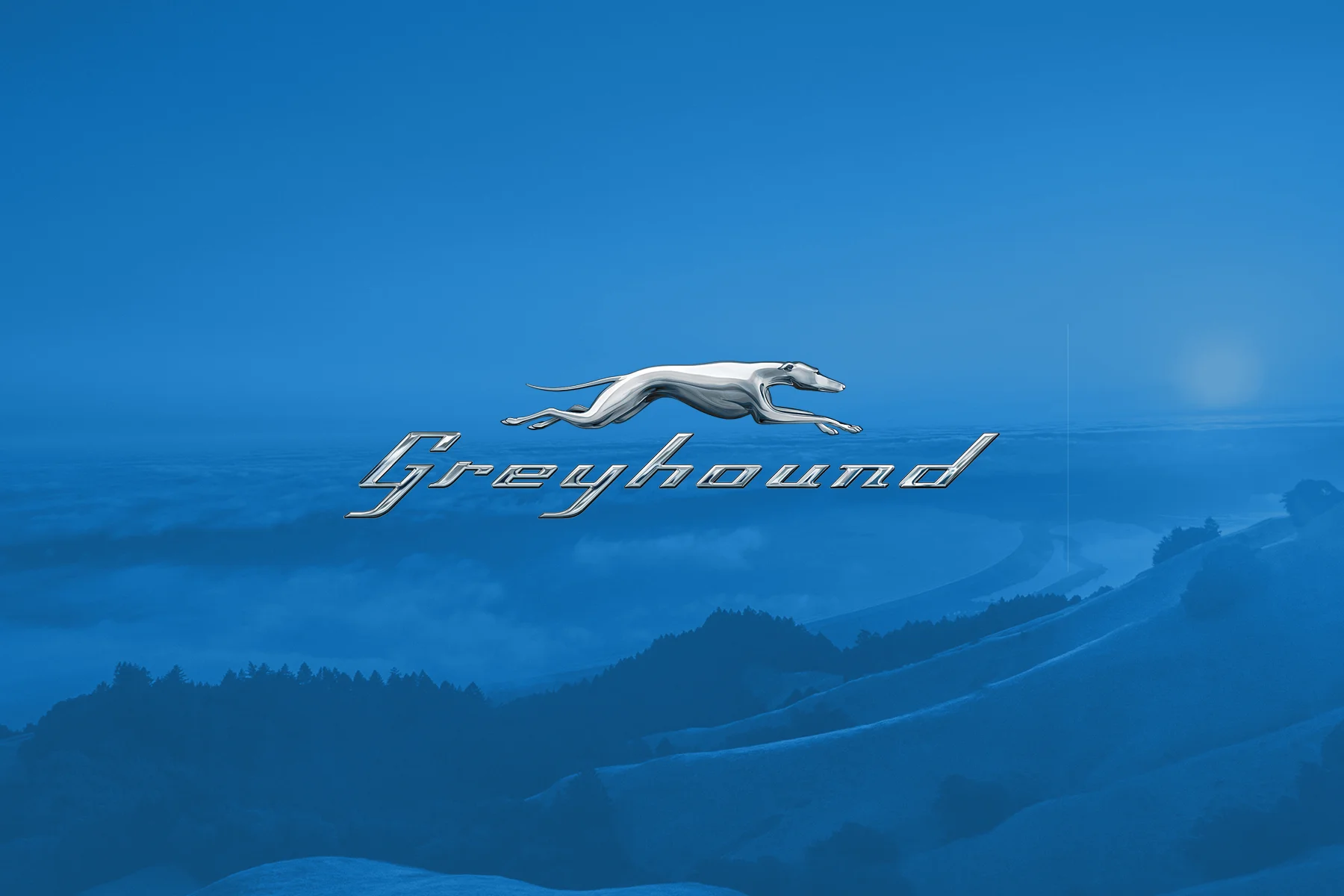 Greyhound Cover Website Cover.jpg
