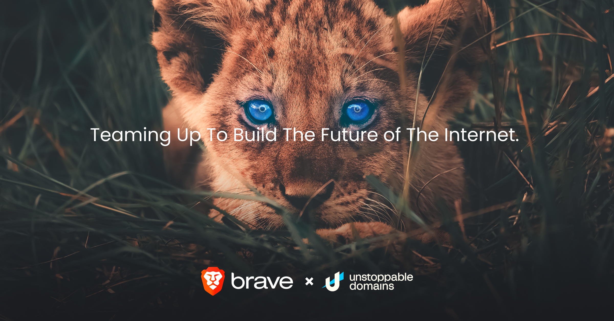 Brave_UD_Beginning_Partership_line2.png