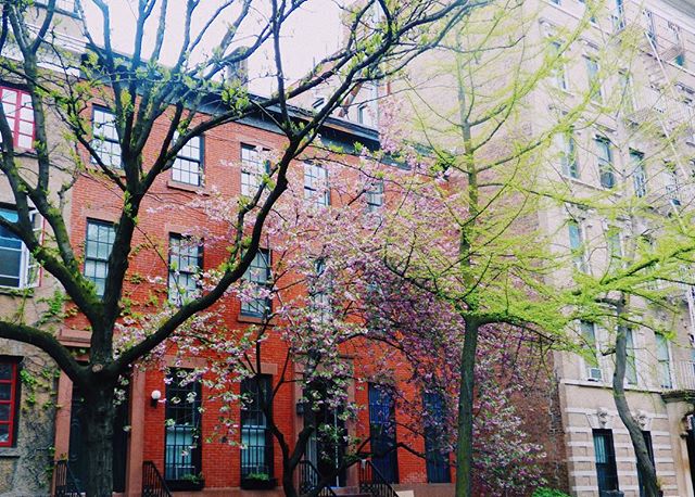 my pretty little home for the next few years ✨
