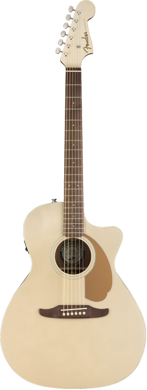 FENDER-NEWPORTER-PLAYER-frt.jpg