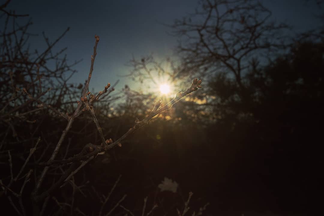 No hay un lugar donde llegar, pero si un camino que recorrer.

#nantucket 
#sunsetphotography
#sunrise 
#naturephotography