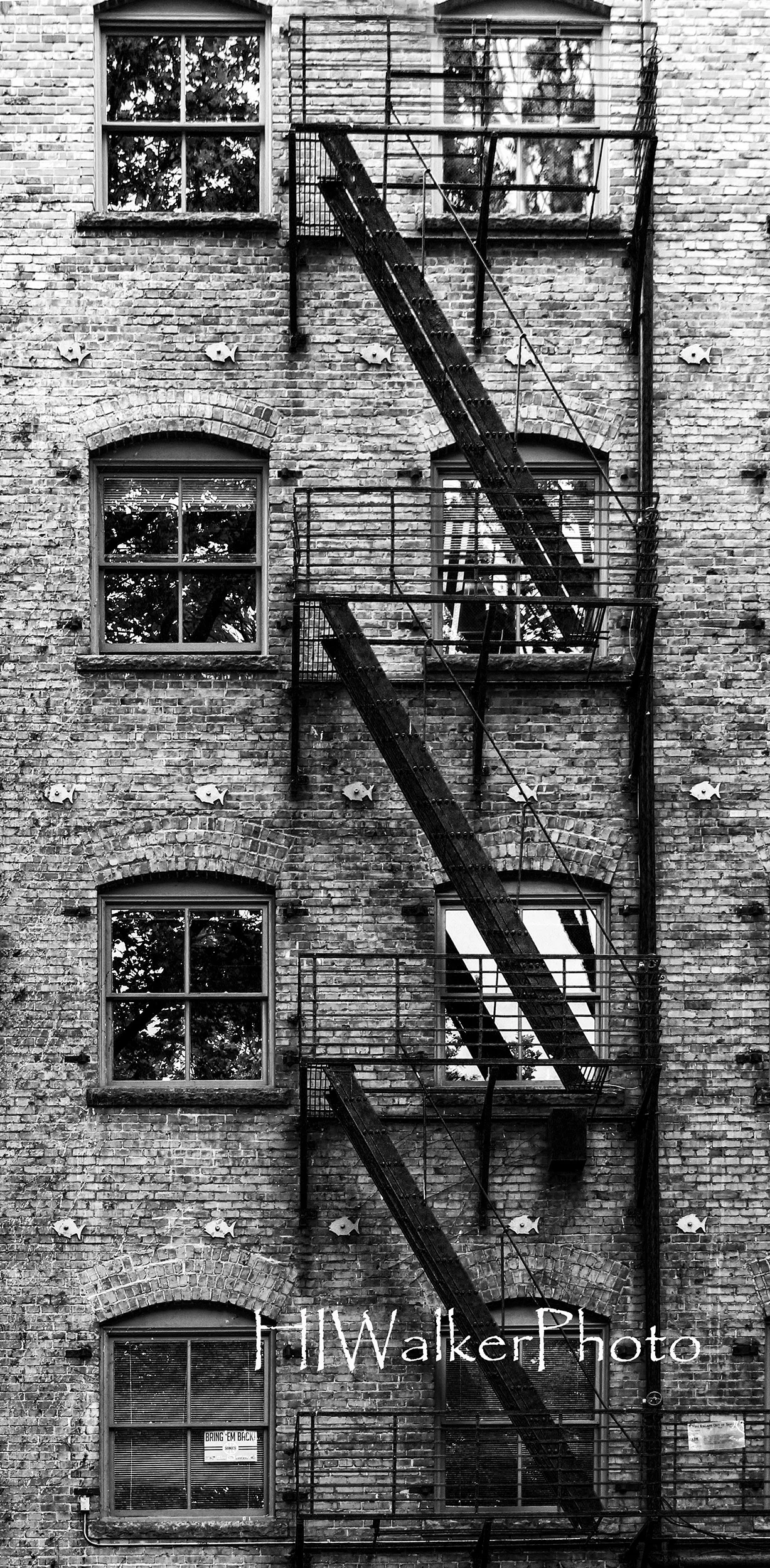 Escape