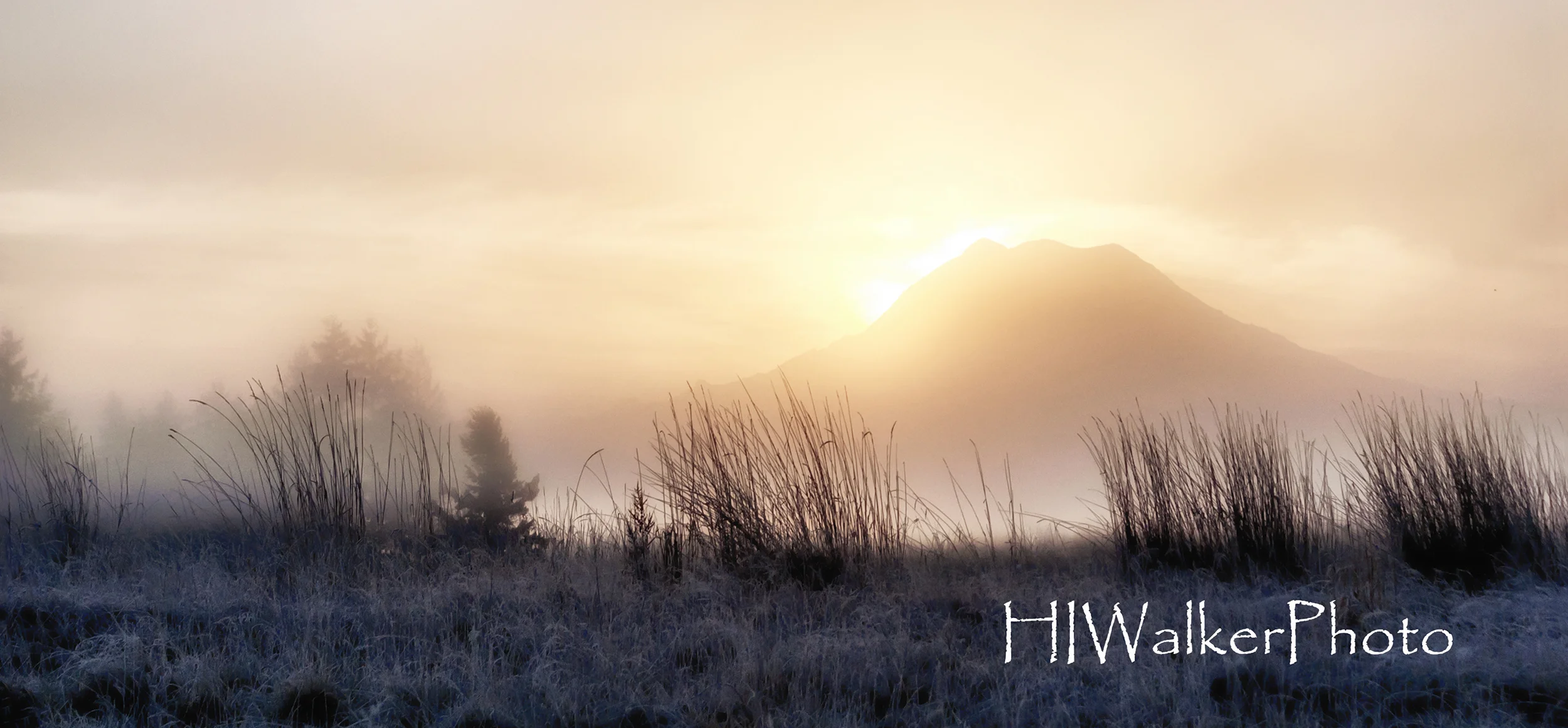 Morning Mists