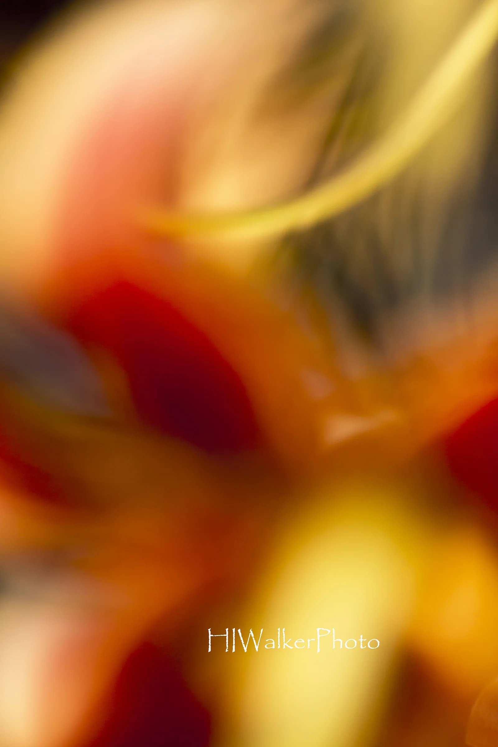 _DSC8870.jpg