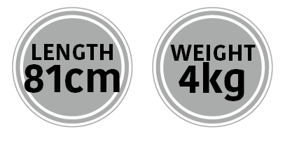 Multibreacher Dimensions