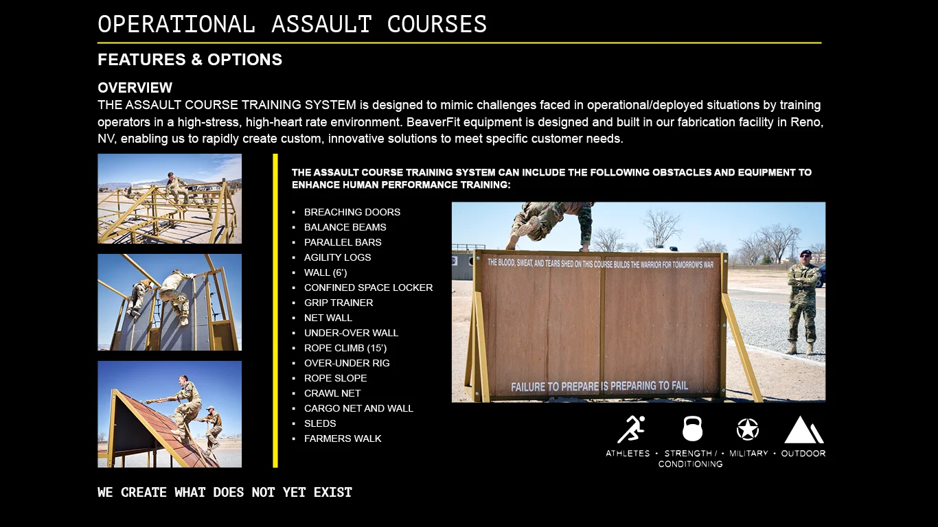 ASSAULT2.jpg