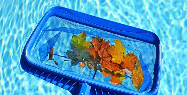 pool-services.jpg