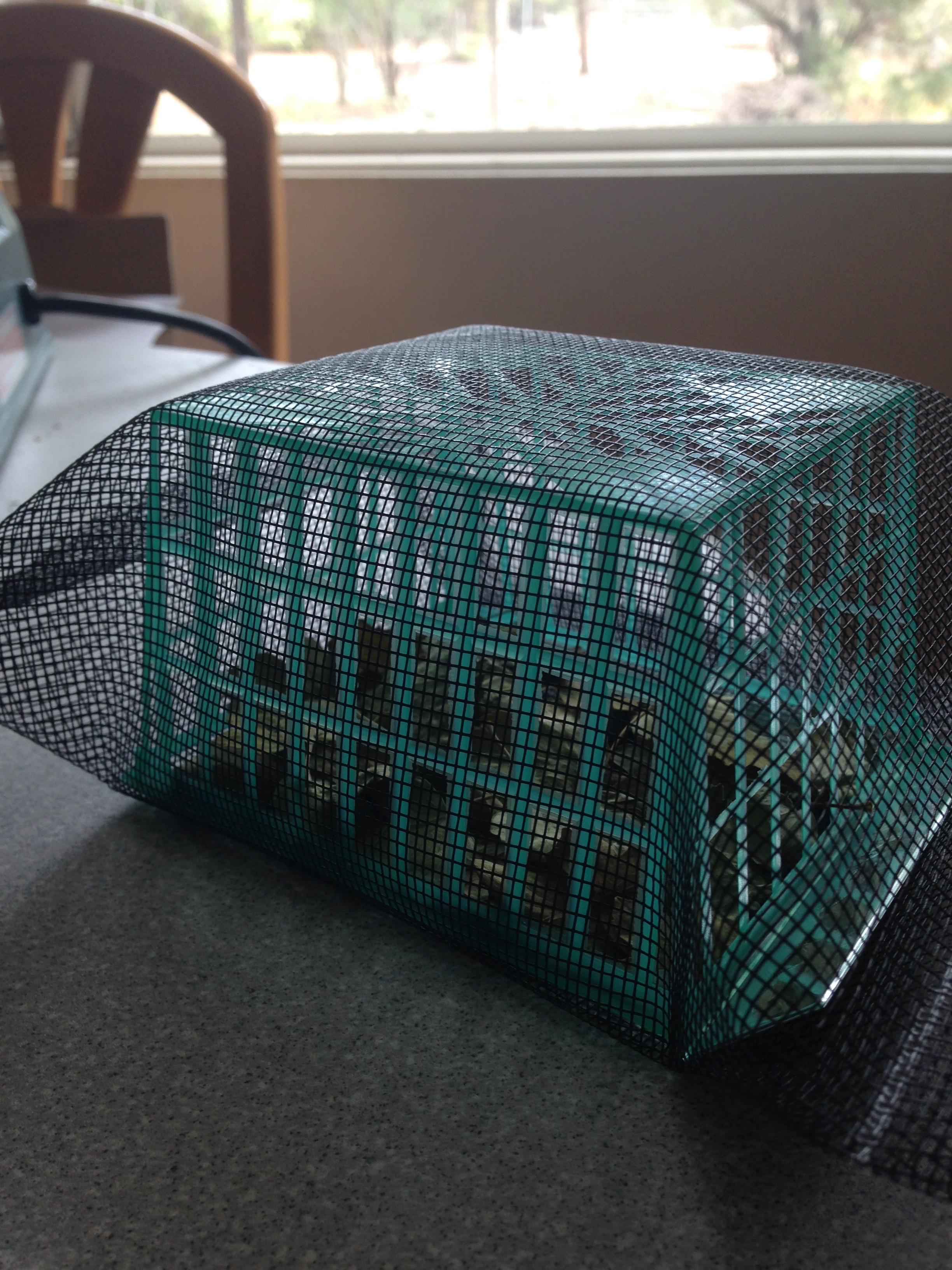 Litter box (UV allowed, macroinvertebrates blocked).