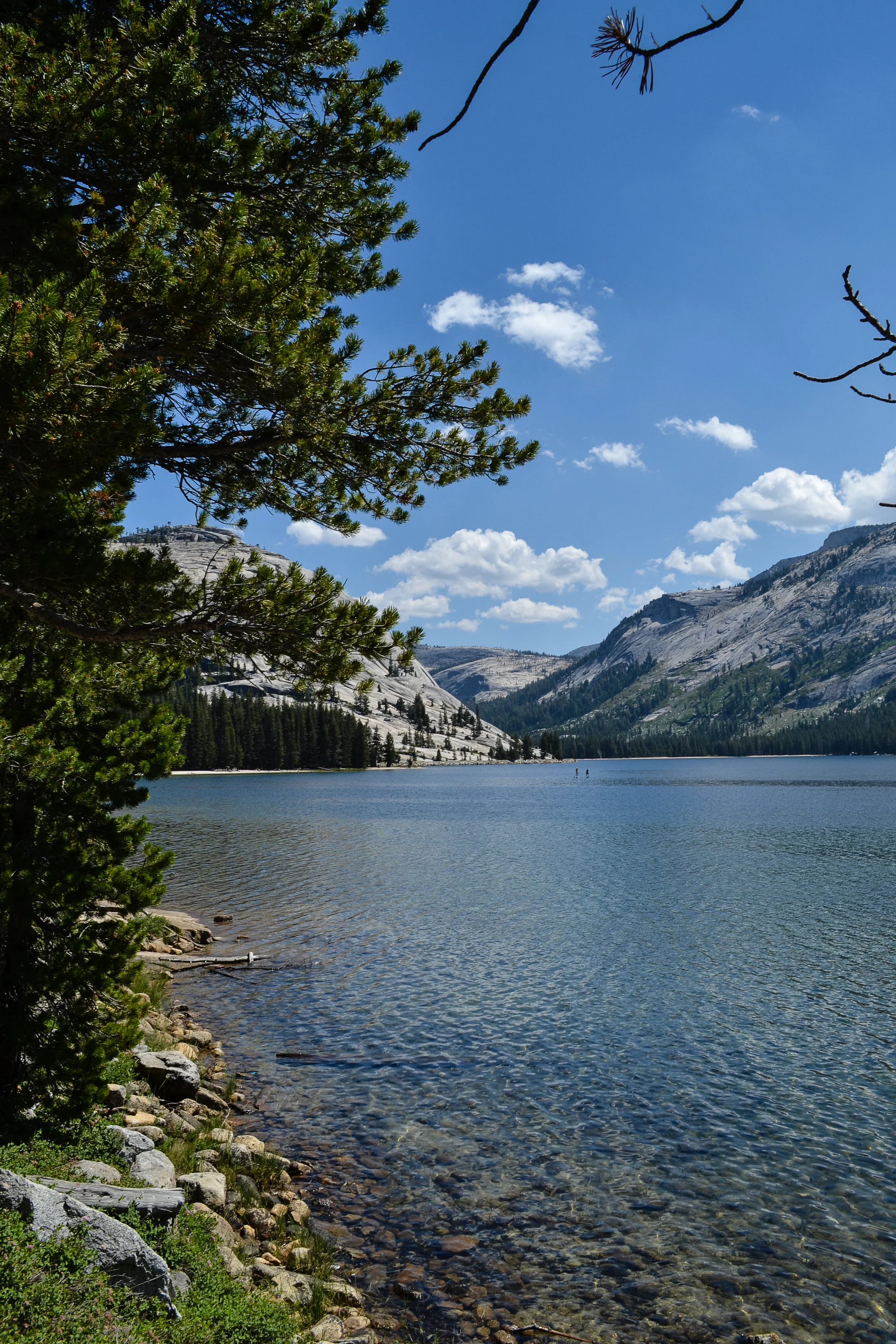Yosemite 8.jpg