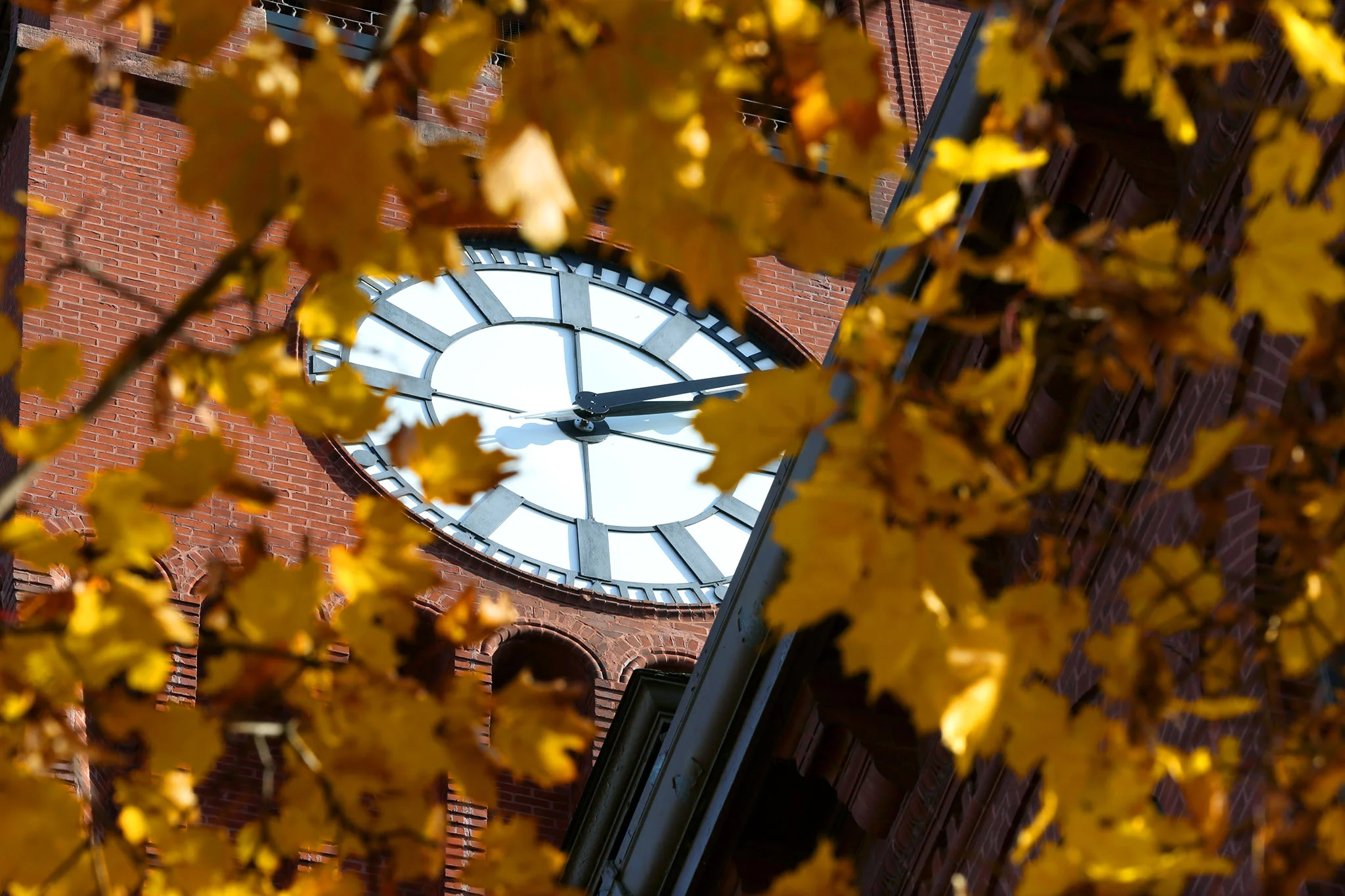 20141027_bowman_hall_clock_tower_01.jpg