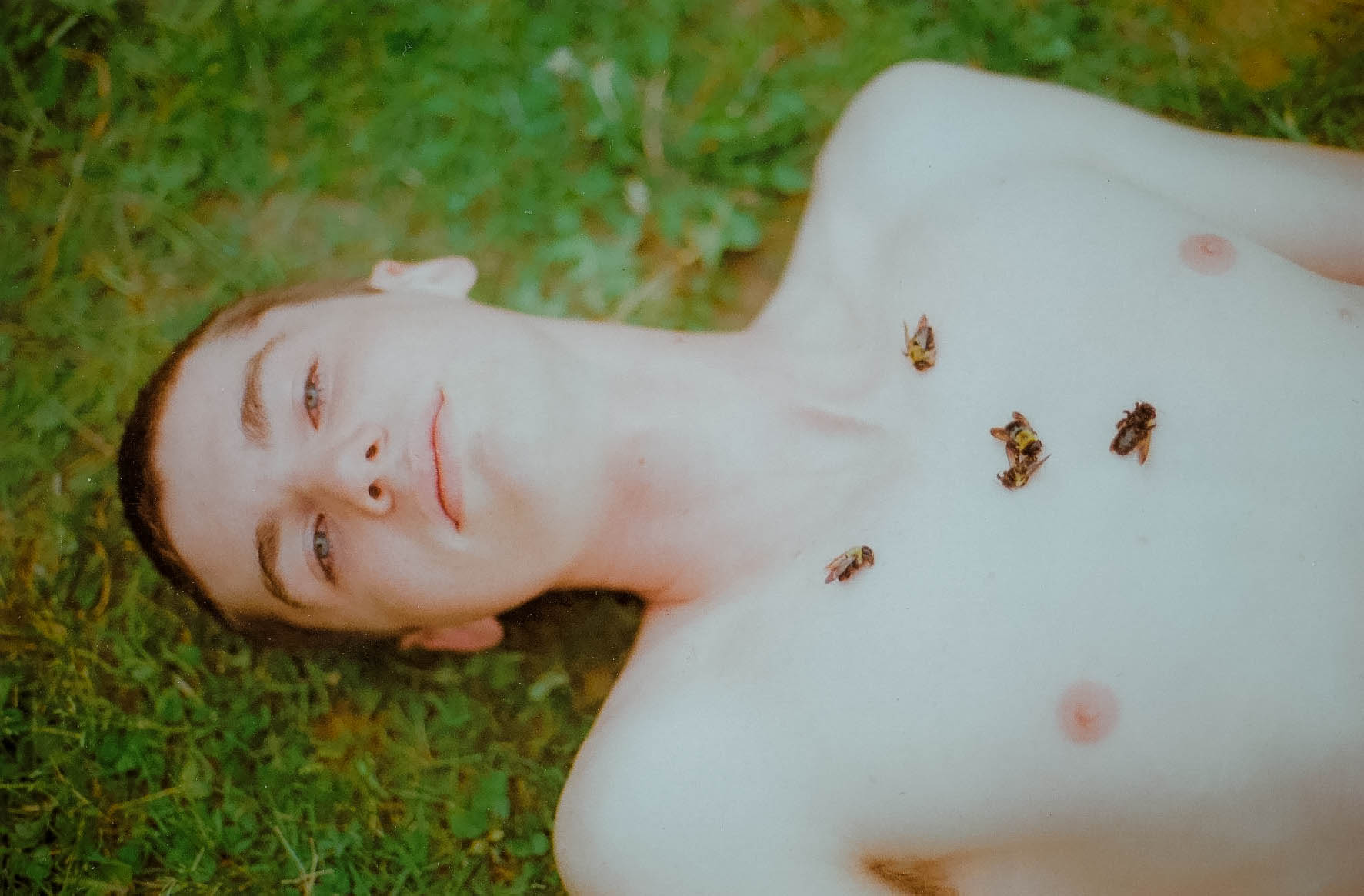 Bee Boy, 2015
