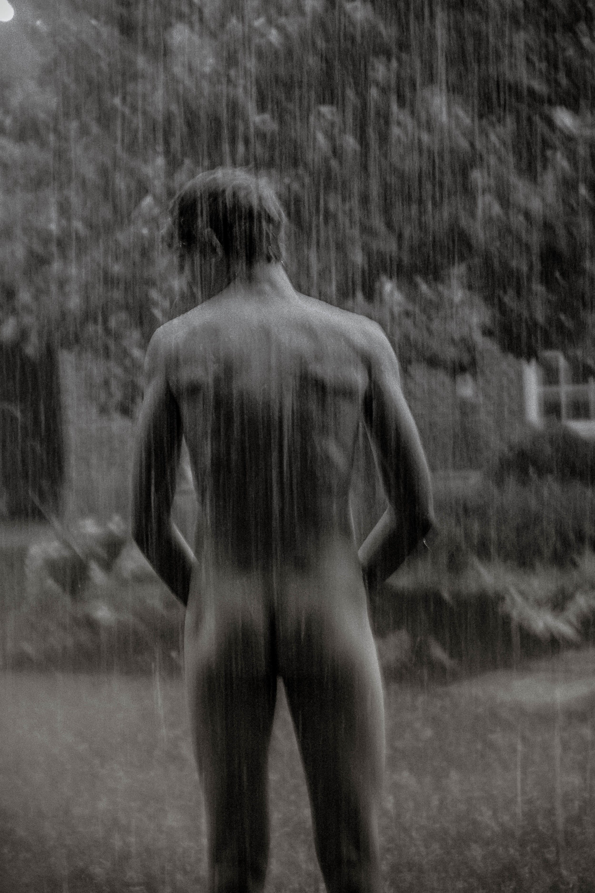 David in Rain, 2014