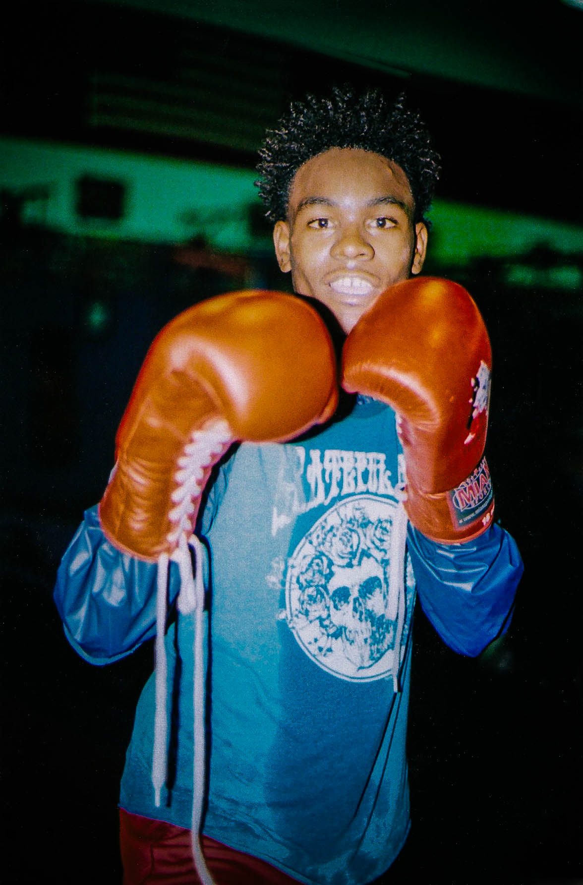 Boxer, 2016