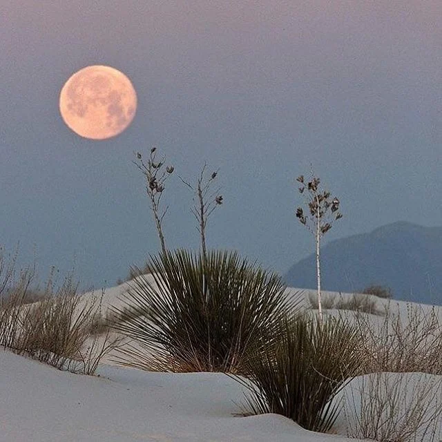 I remember the days when weekends felt magical. Is yours still magical? #moonlit #desert #magicalnights
