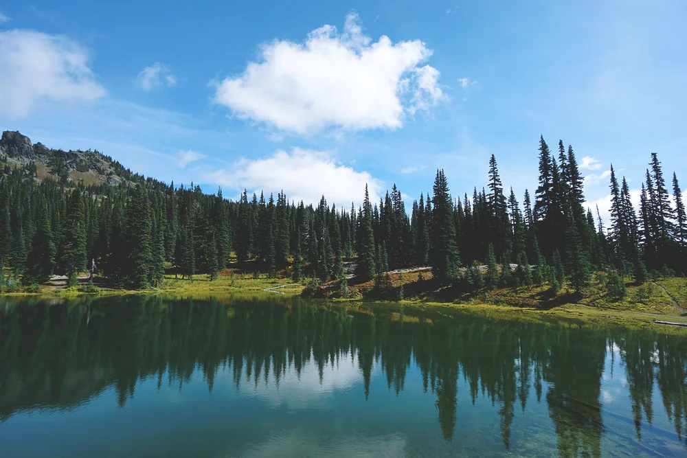 best lenses for landscapes example