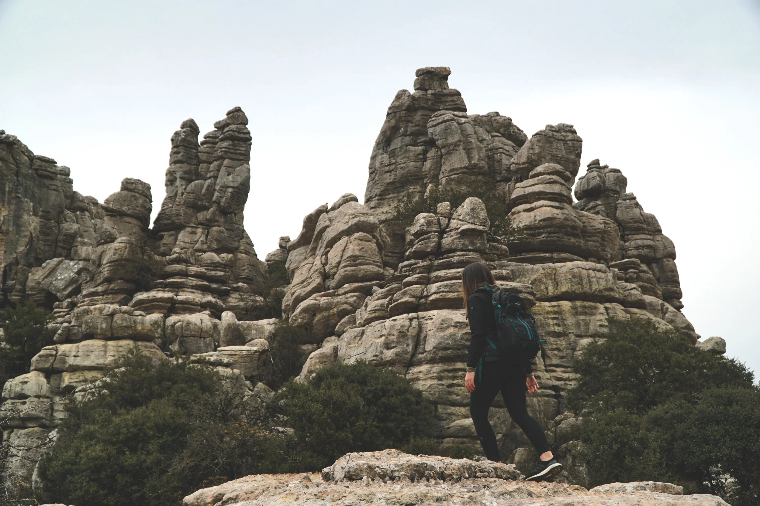 Gear Review Alps Mountaineering Solitude 24 Pack — The Professional Amateur