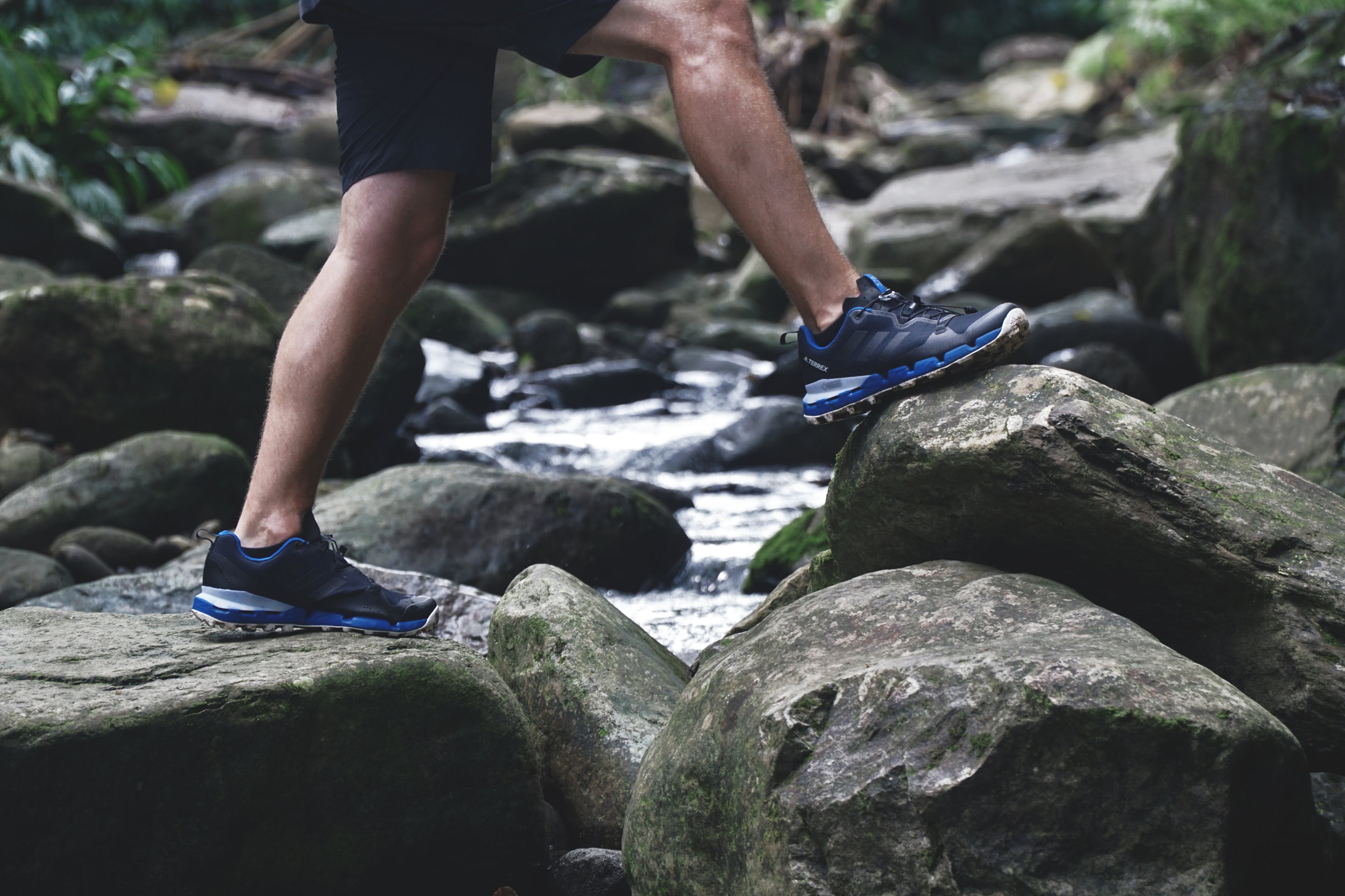 Hazme celebracion taquigrafía Gear Review: Adidas Terrex Fast GTX Surround Hiking Shoe — The Professional  Amateur