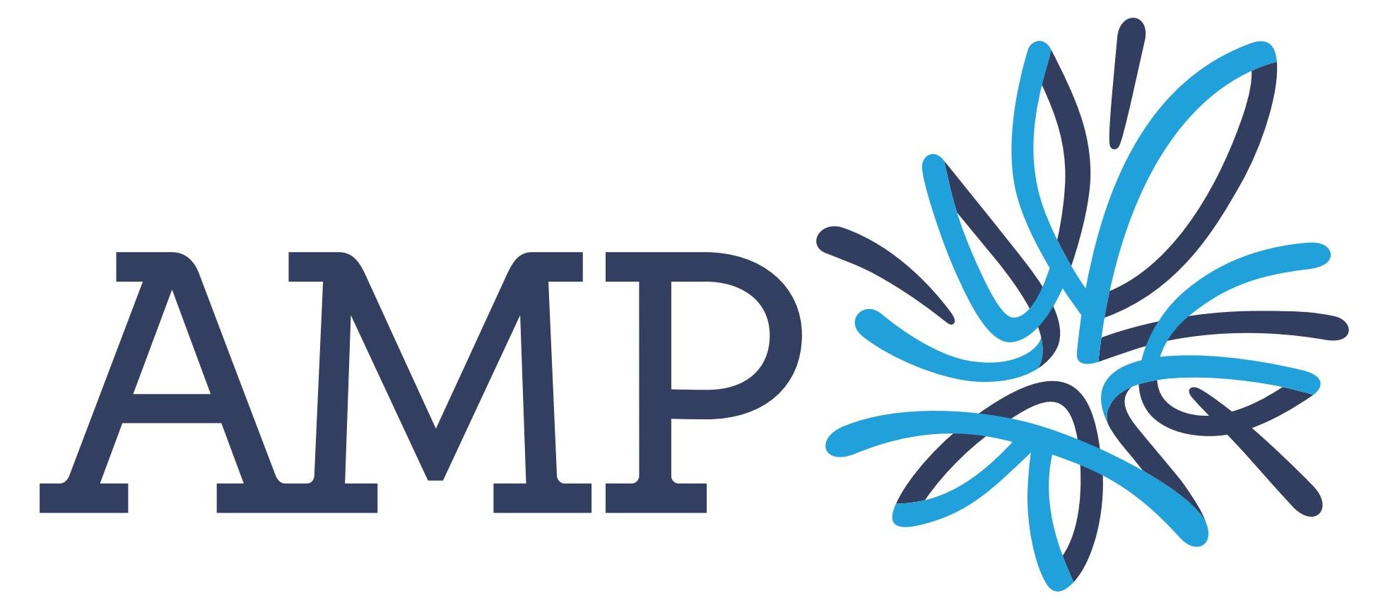 amp-logo.jpg