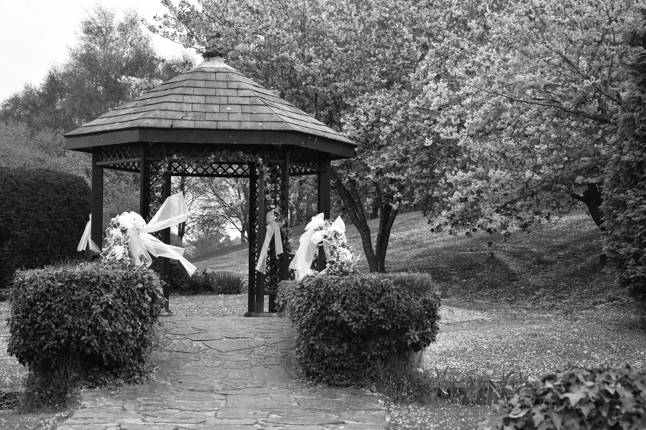 Edit_2038 black and white.jpg