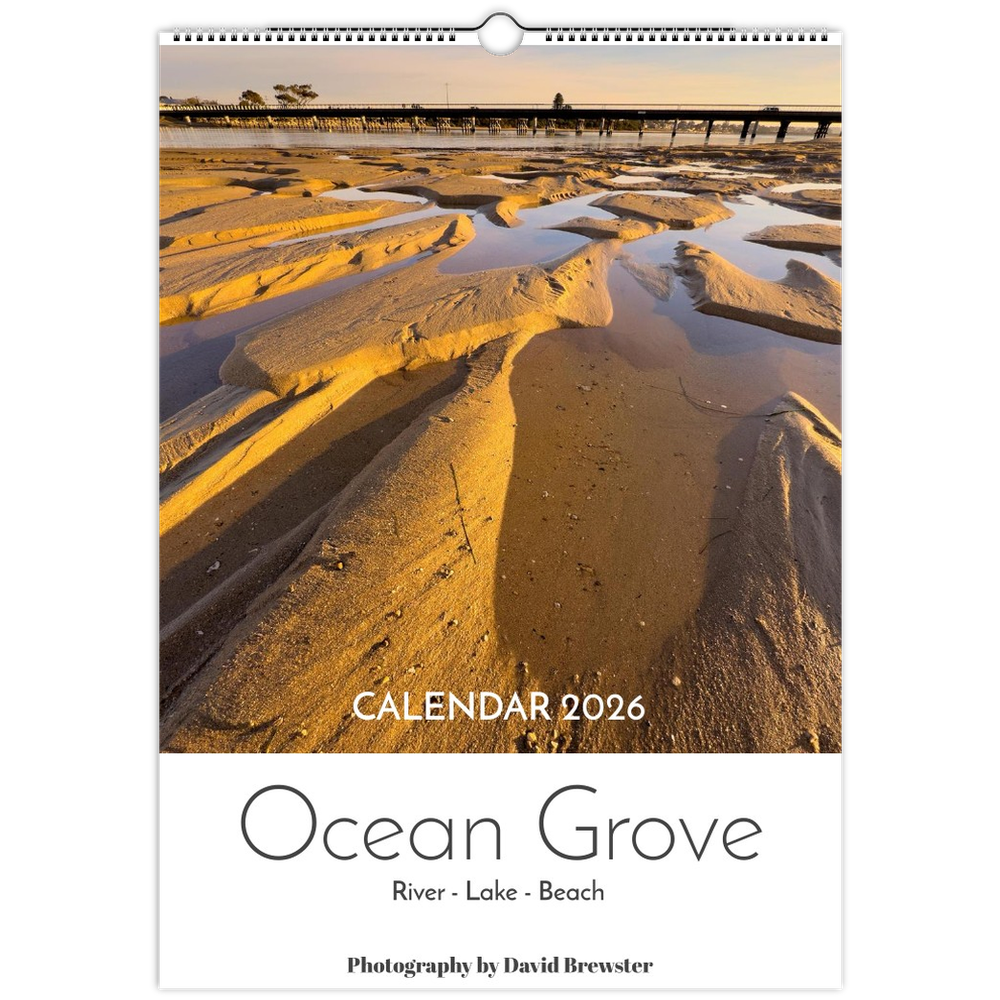 tmp-160-5gVYZB1Wbm2W