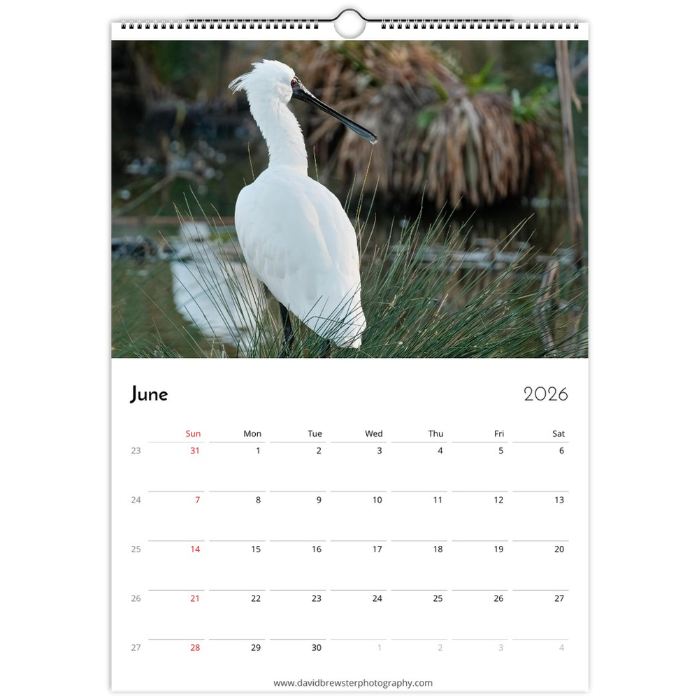 tmp-160-ROJFFiirG22i