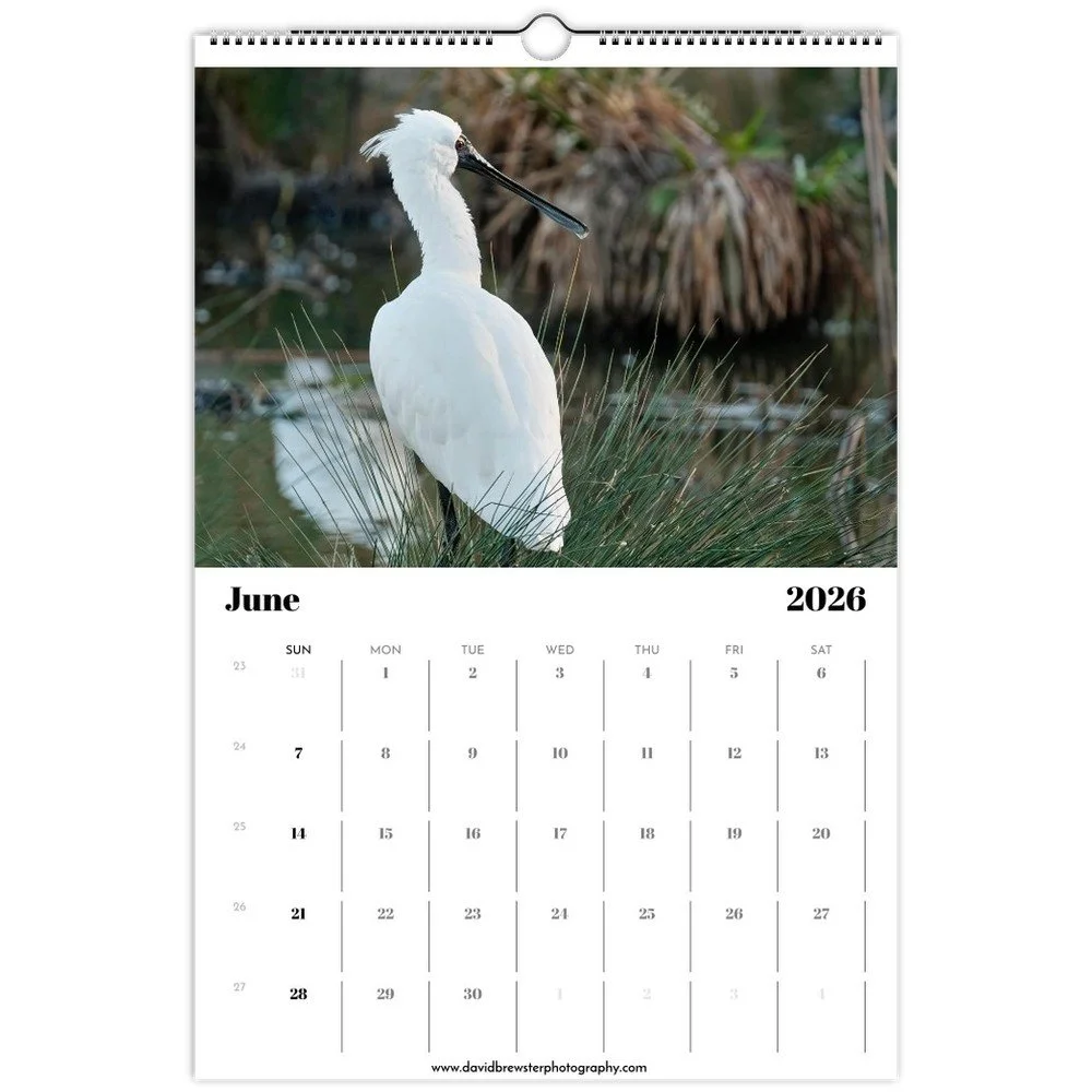 tmp-158-6ZA2oMe23jo2