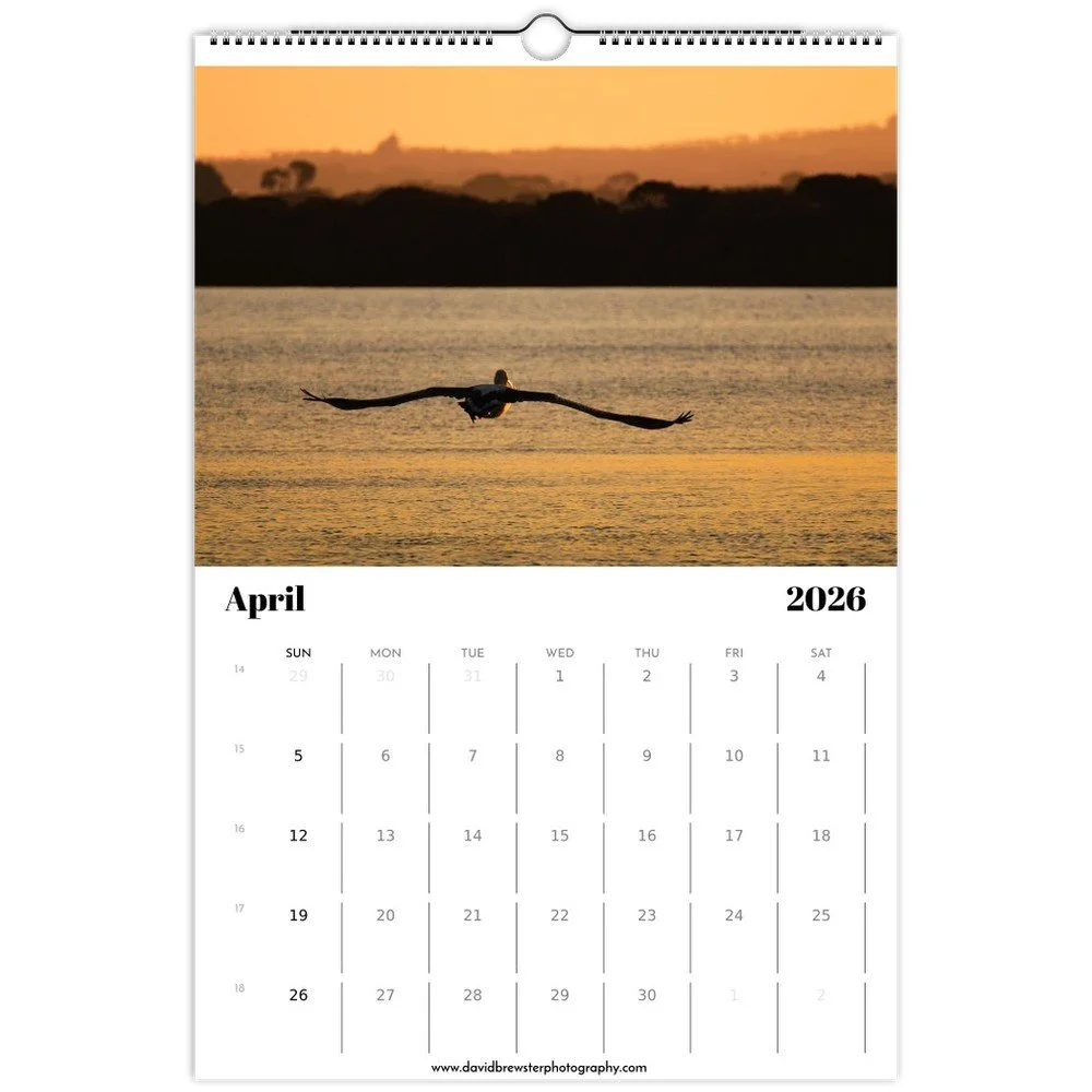 tmp-158-YYgUSW1COZ3J