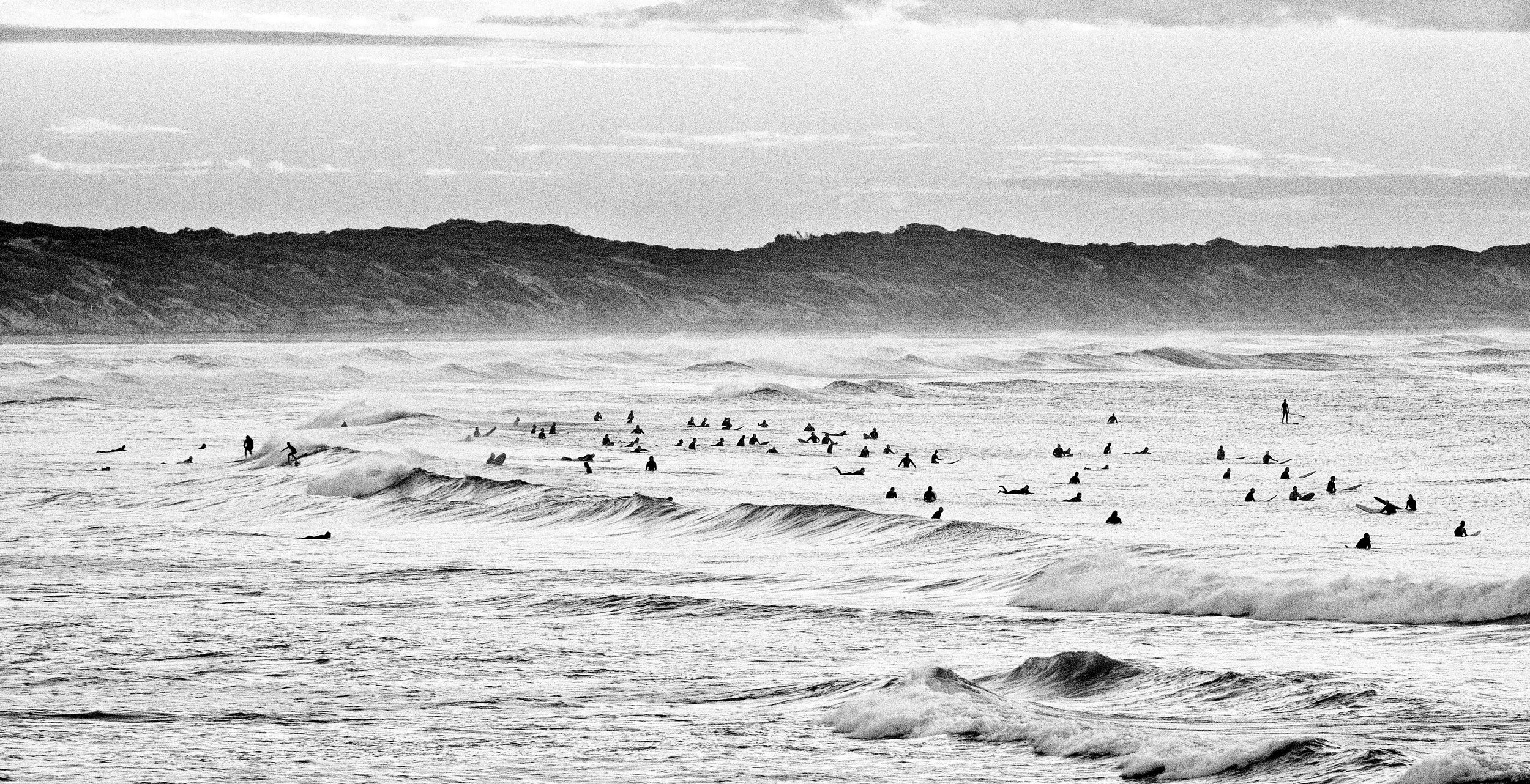 25-01-27 - ocean grove - _XT42719 - © David Brewster 2025.jpg