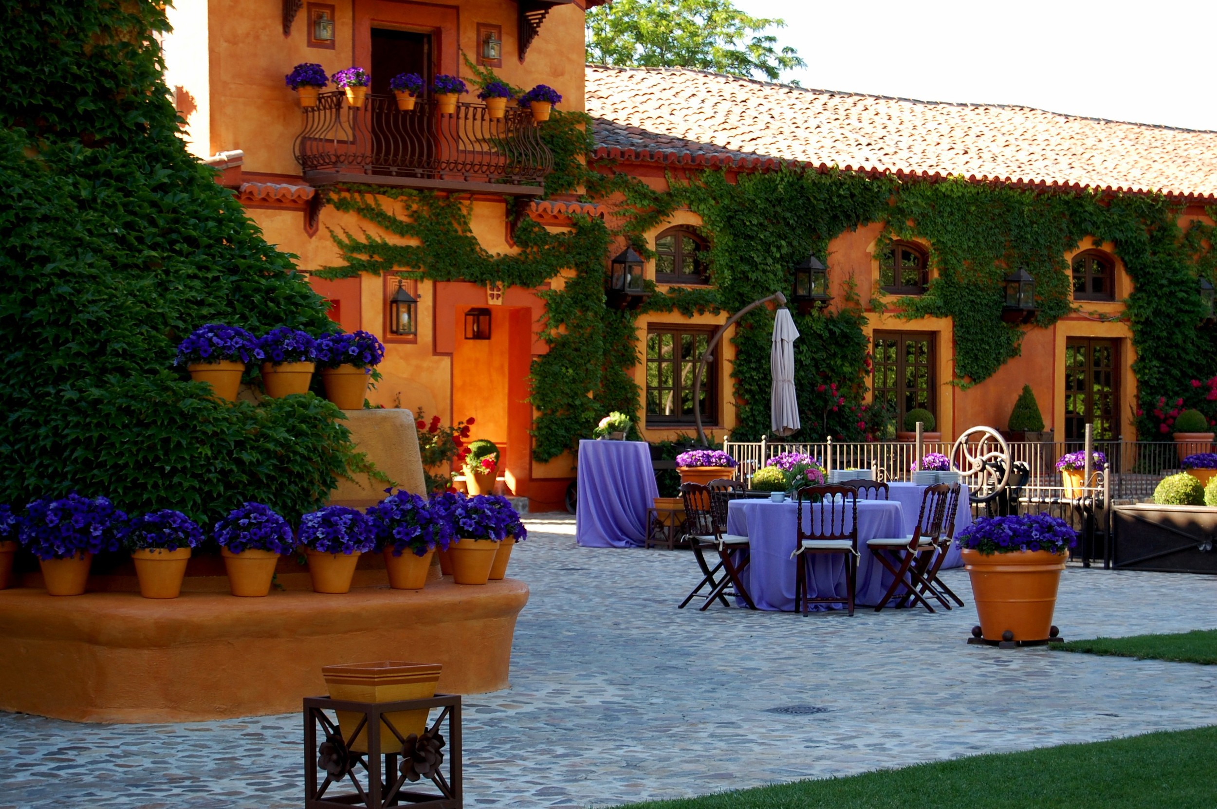 cocktails 2014 005.JPG