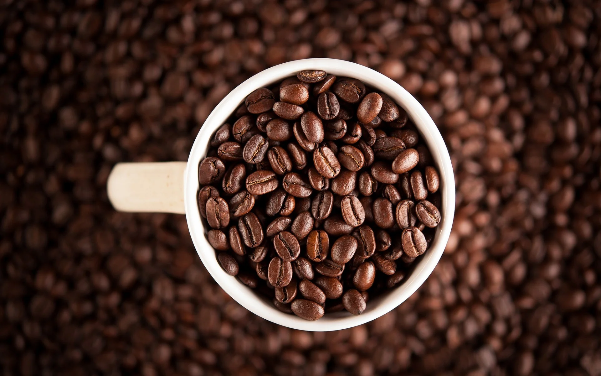 COFFEE BREAK.jpg