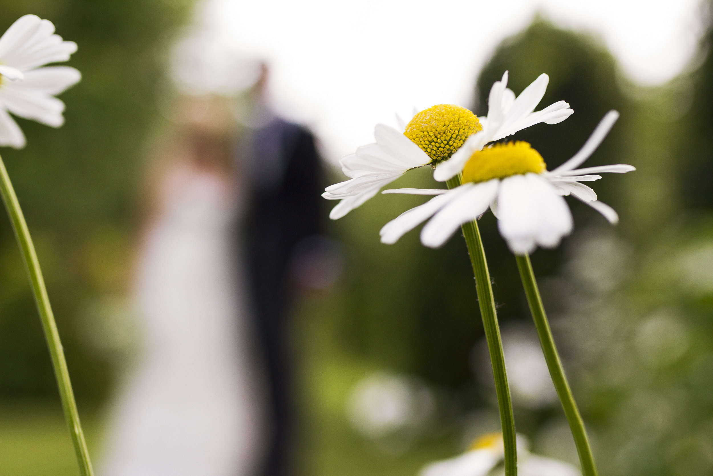 Angela&Juan0776.jpg