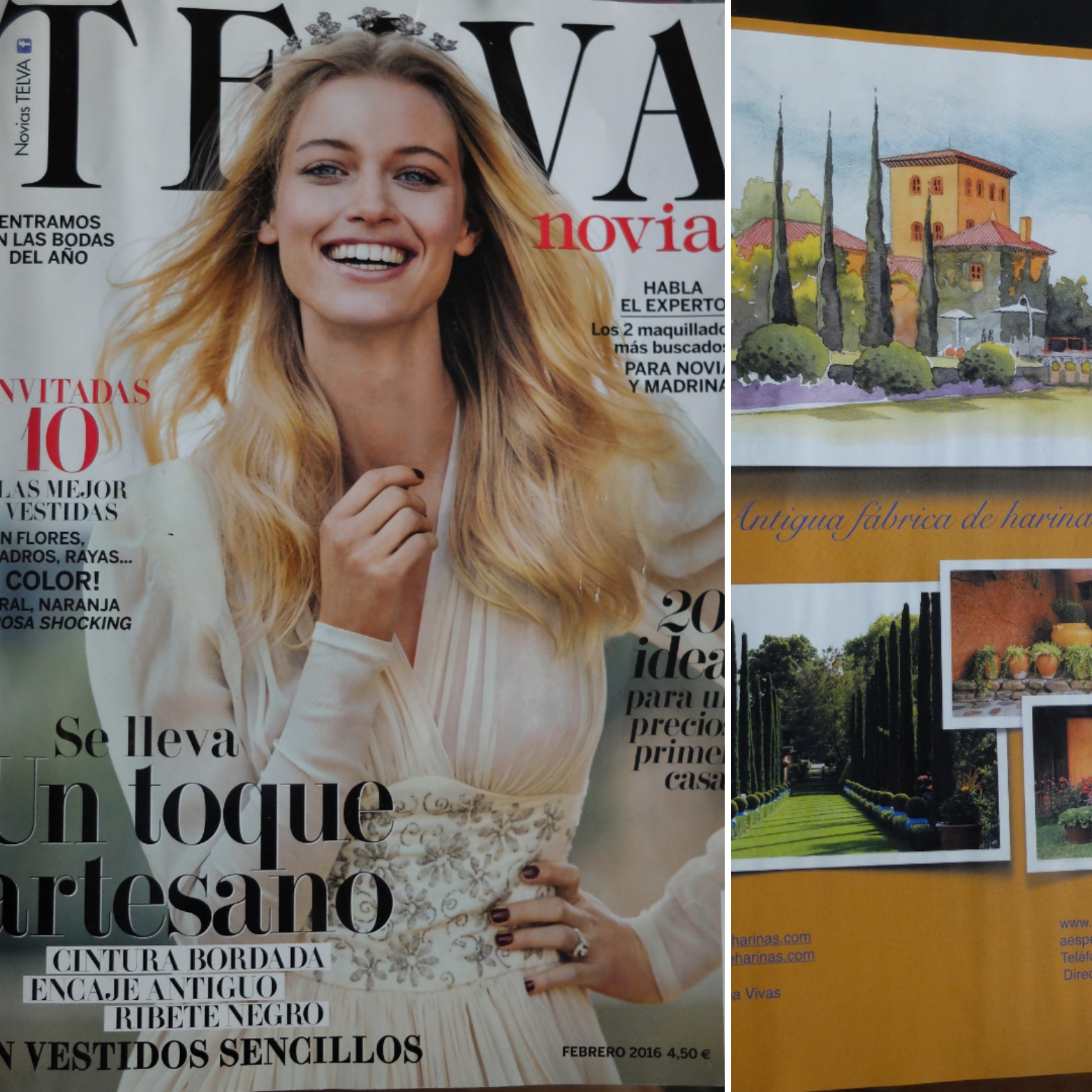 1 TELVA Feb 2016.jpg